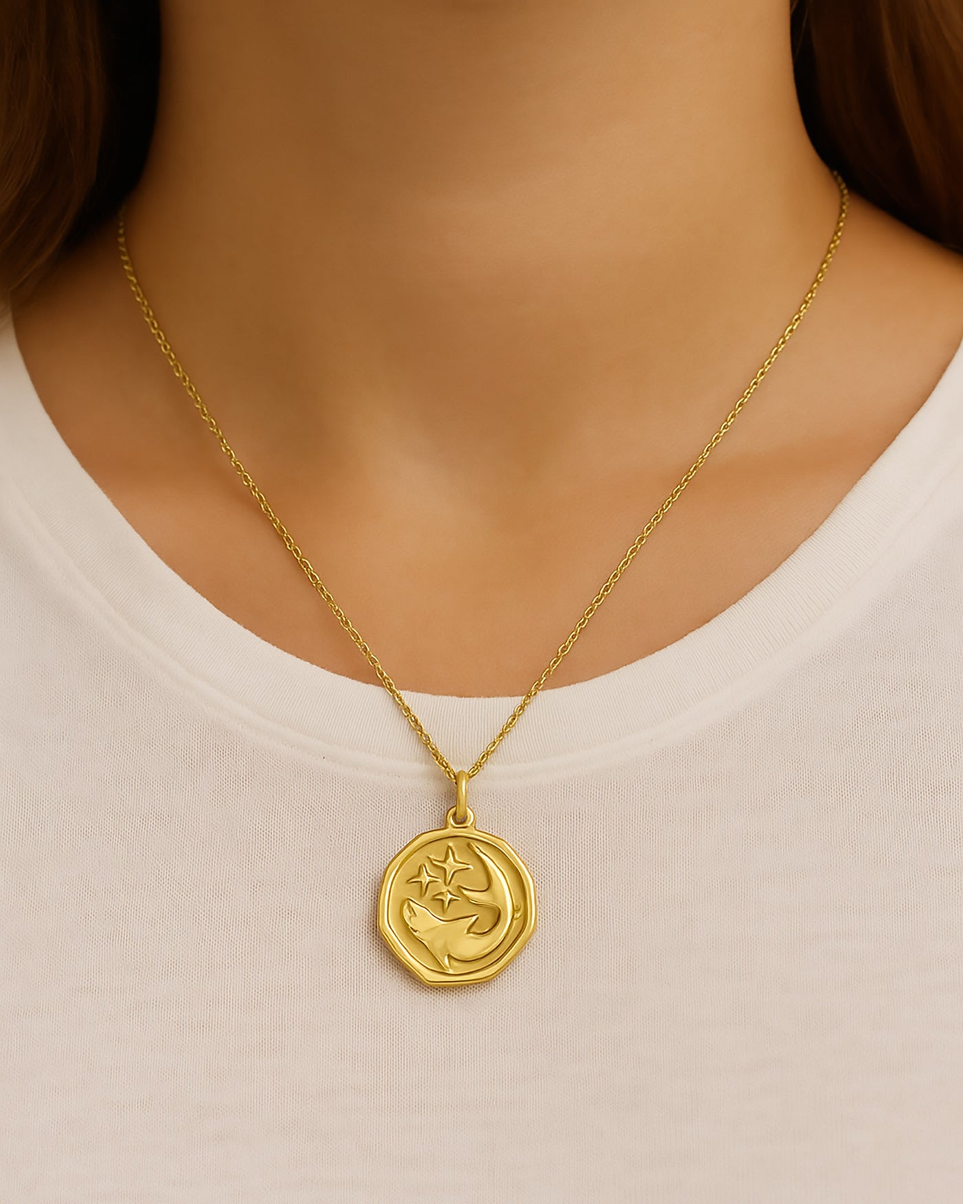 Shark Spirit Animal Amulet