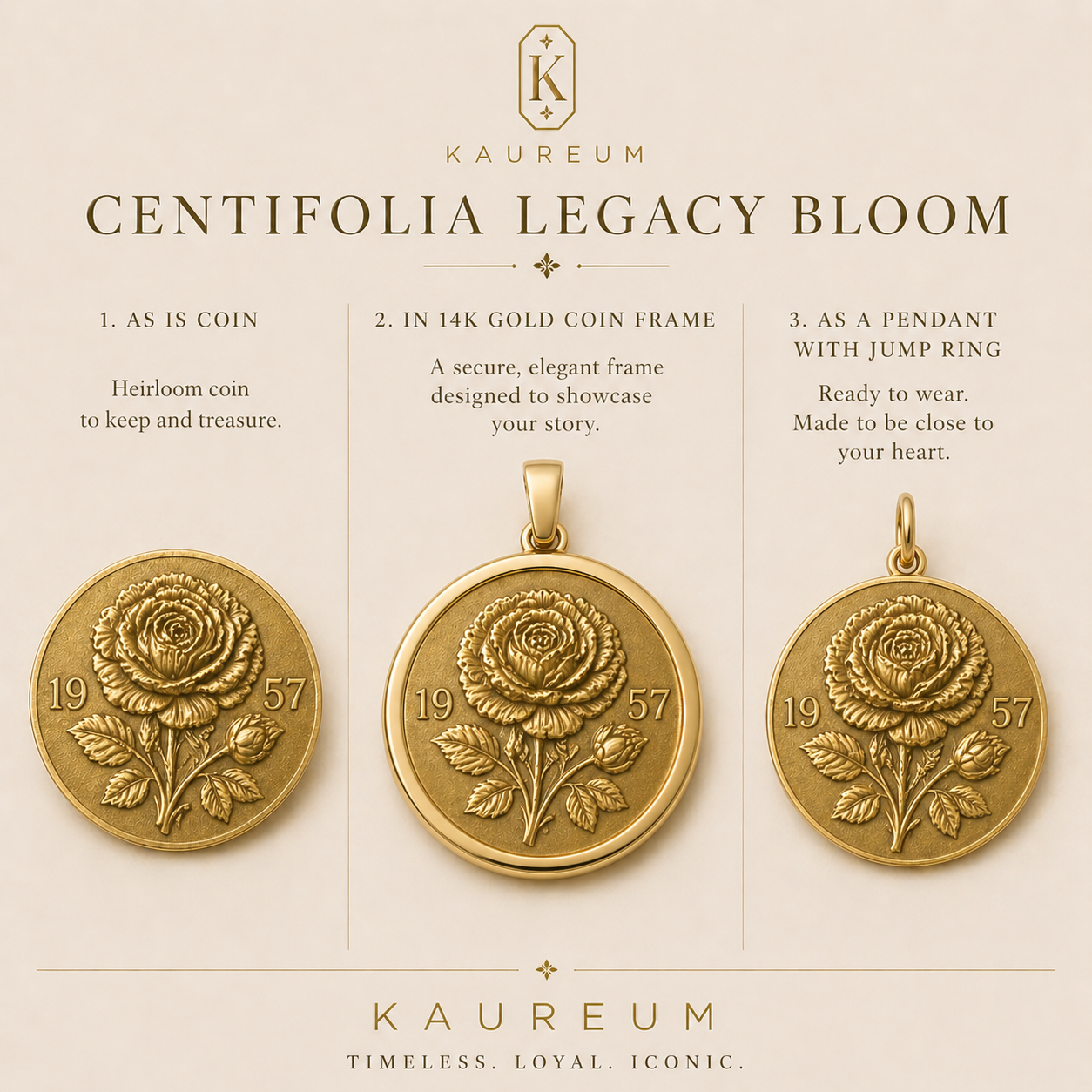 Legacy Bloom ⟡ Centifolia Rose