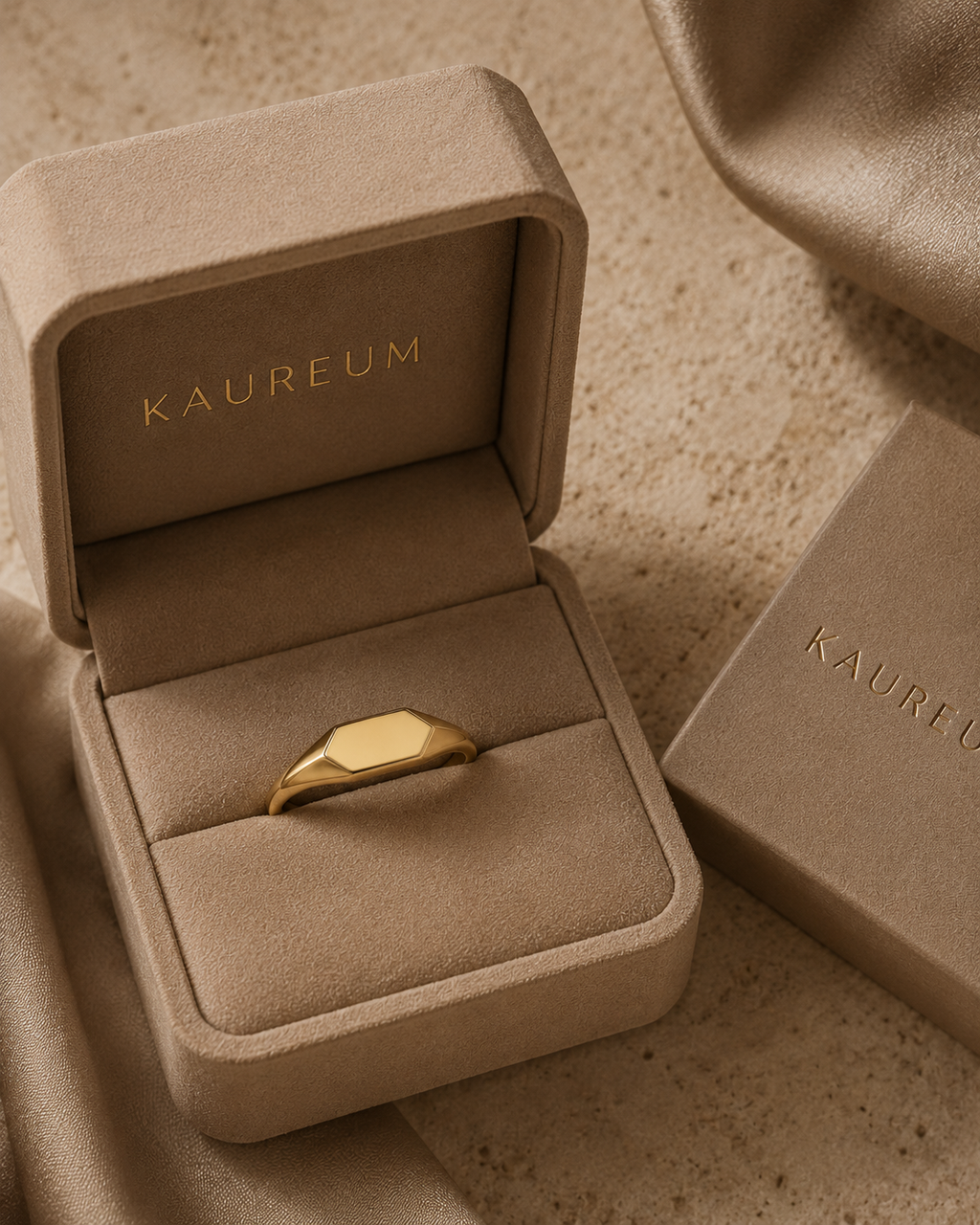 The House Signet Ring