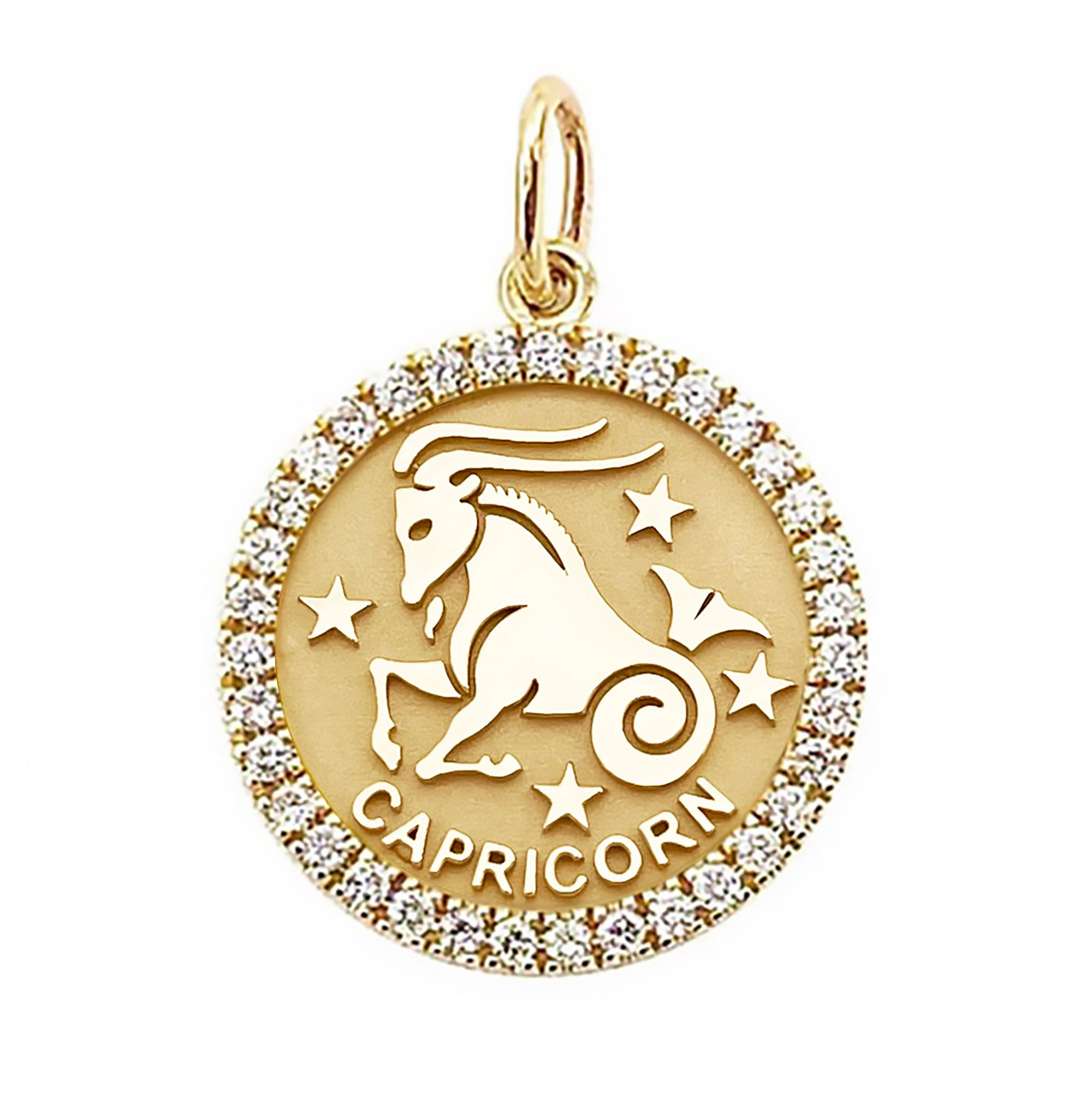 ASTRO ♦ Capricorn Diamond Zodiac Coin Pendant – KAUREUM