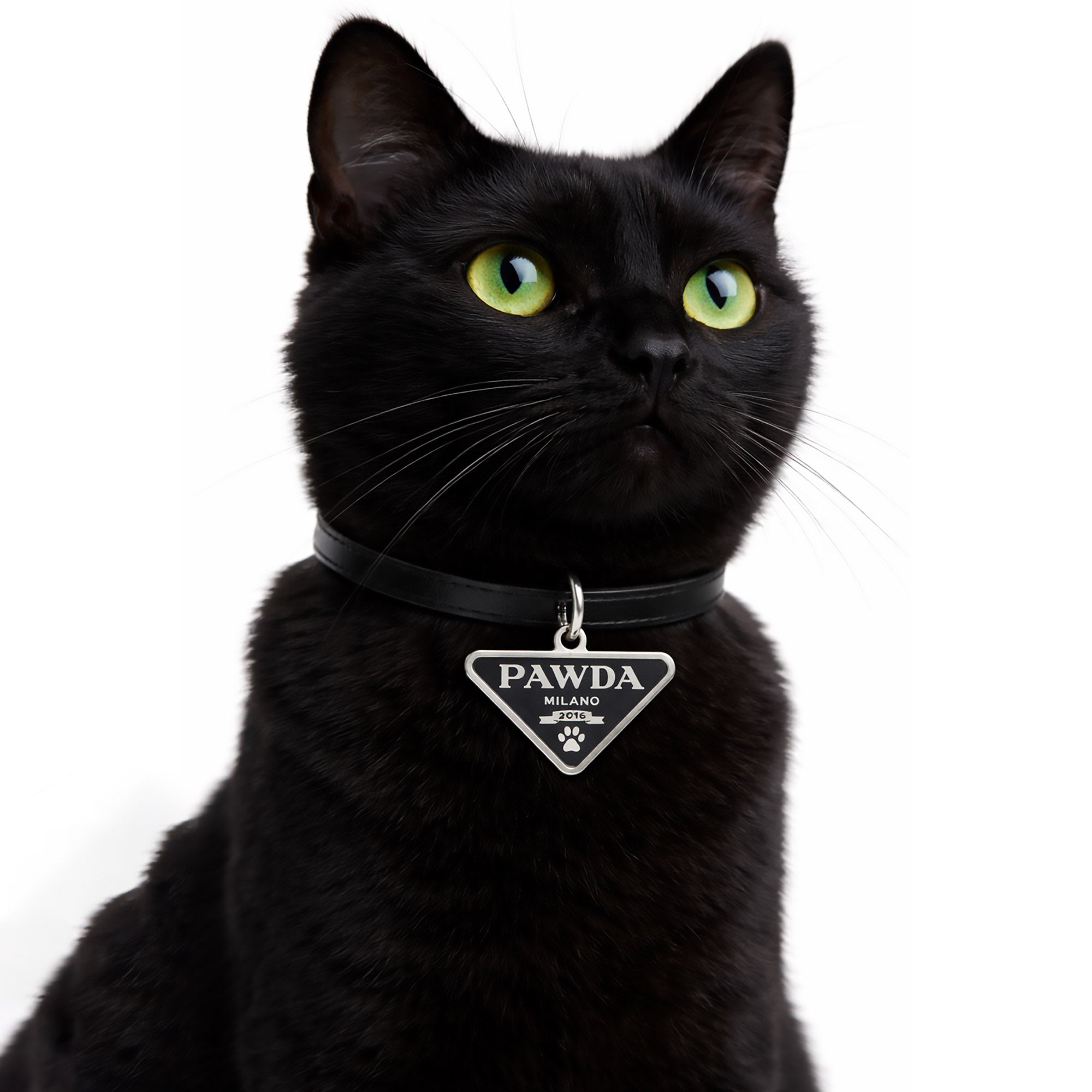PAWDA Pet Charm/ID Tag