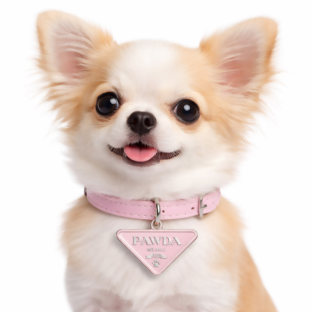 PAWDA Pet Charm/ID Tag