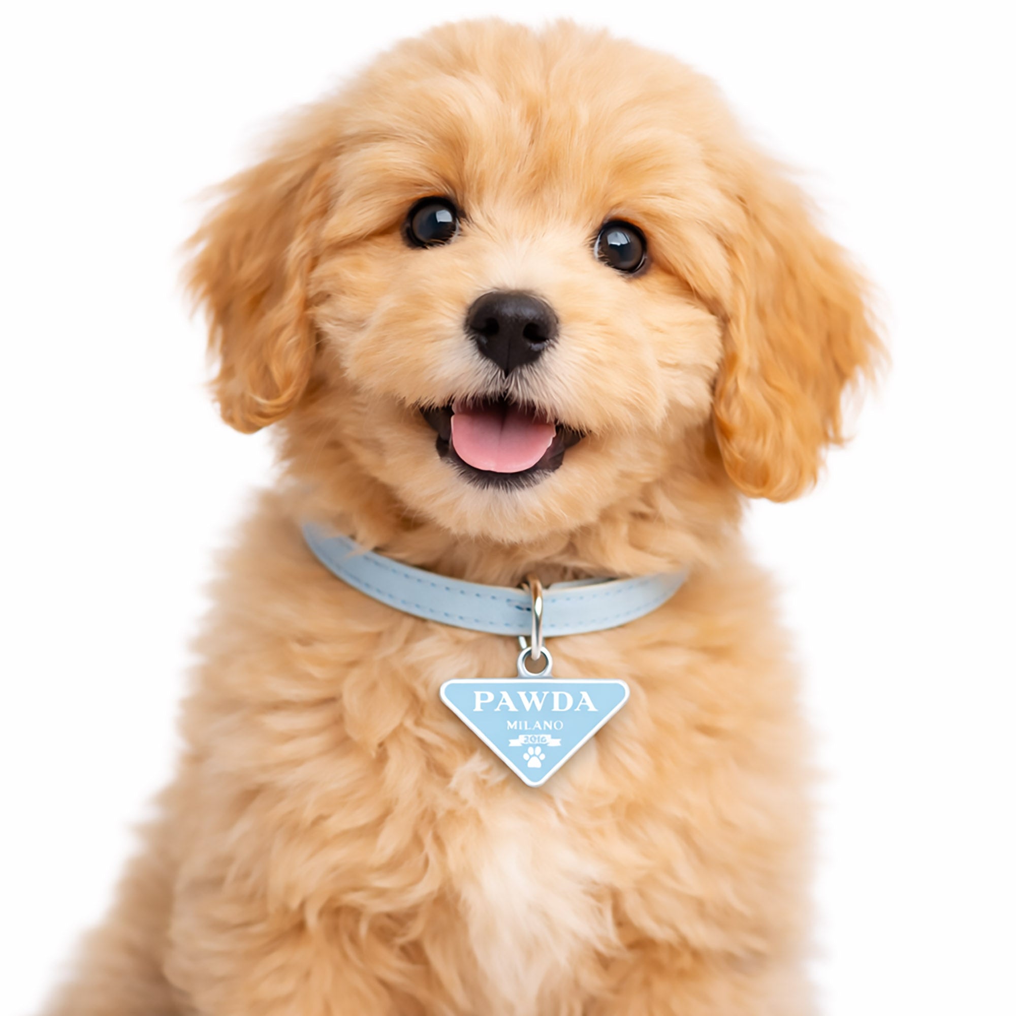 PAWDA Pet Charm/ID Tag
