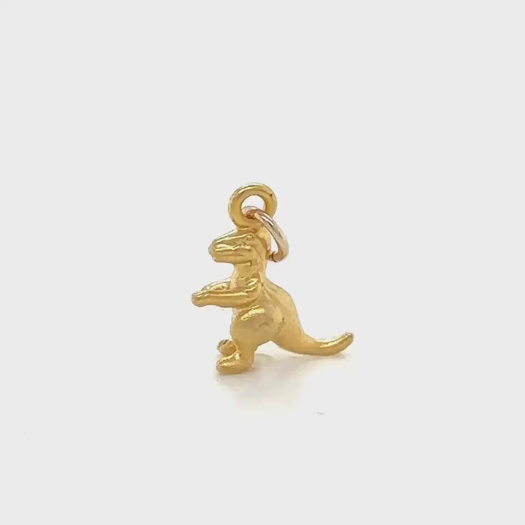 3D Dino/Dinosaur/T-Rex Charm • Animal Charm